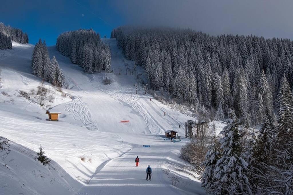 Le Relai S34 - Grand Et Lumineux Studio Avec Coin Montagne 4-6 Pers Avec Wifi, 50M Des Pistes, Grand Balcon Expose Sud, Draps Non Compris Saint-Jean-dʼAulps エクステリア 写真